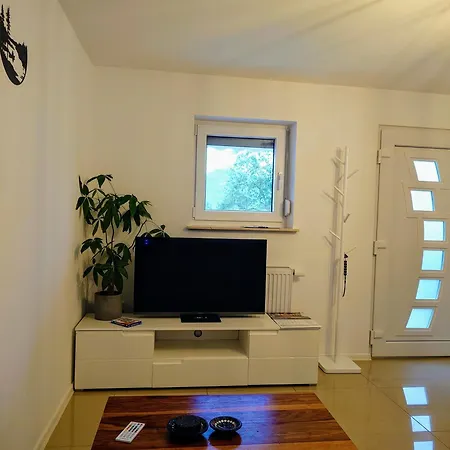 Liana Mit Blick Zur Burg Hechingen