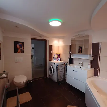 Liana Mit Blick Zur Burg Appartement