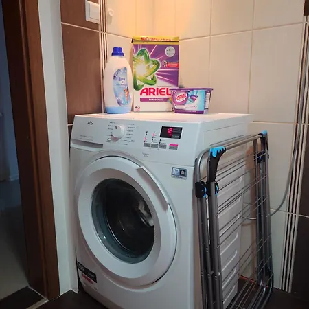 Liana Mit Blick Zur Burg Hechingen