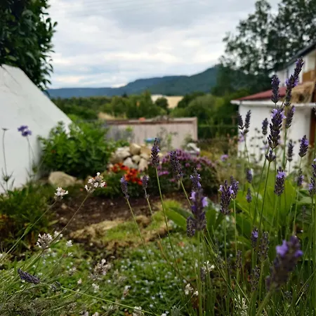 Appartement Liana Mit Blick Zur Burg