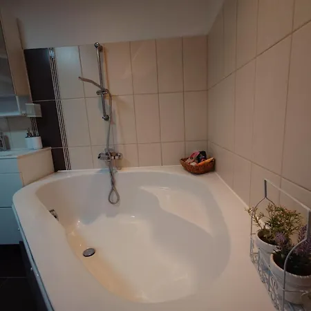 Liana Mit Blick Zur Burg