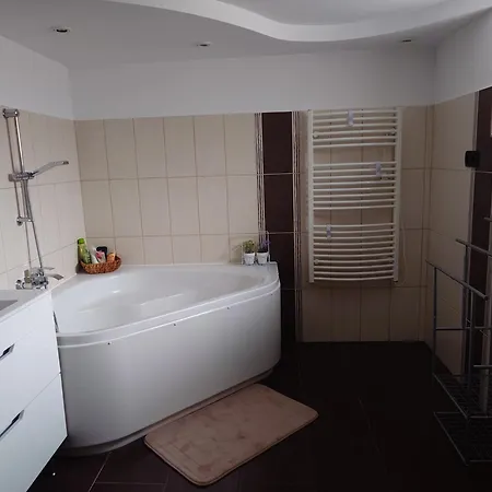 Liana Mit Blick Zur Burg Hechingen